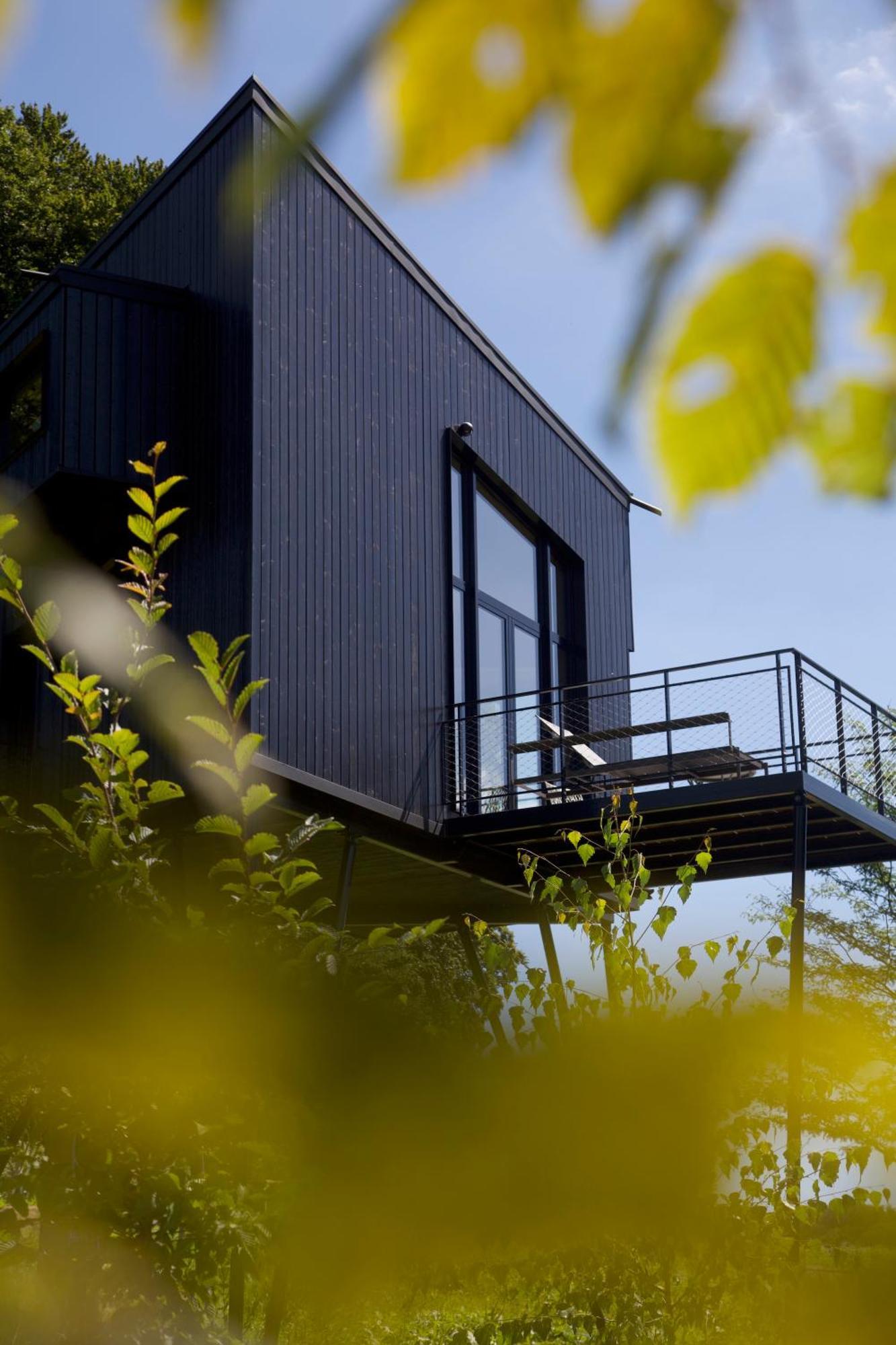 فيلا Treeangle - K1 Baumhaus اودينتال المظهر الخارجي الصورة